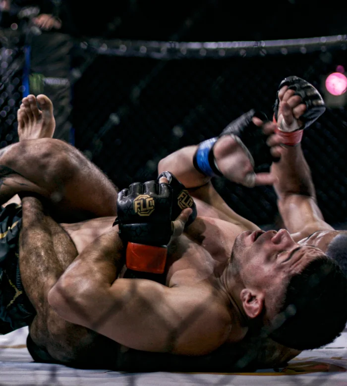 FLC-Liga de MMA Latinoamérica